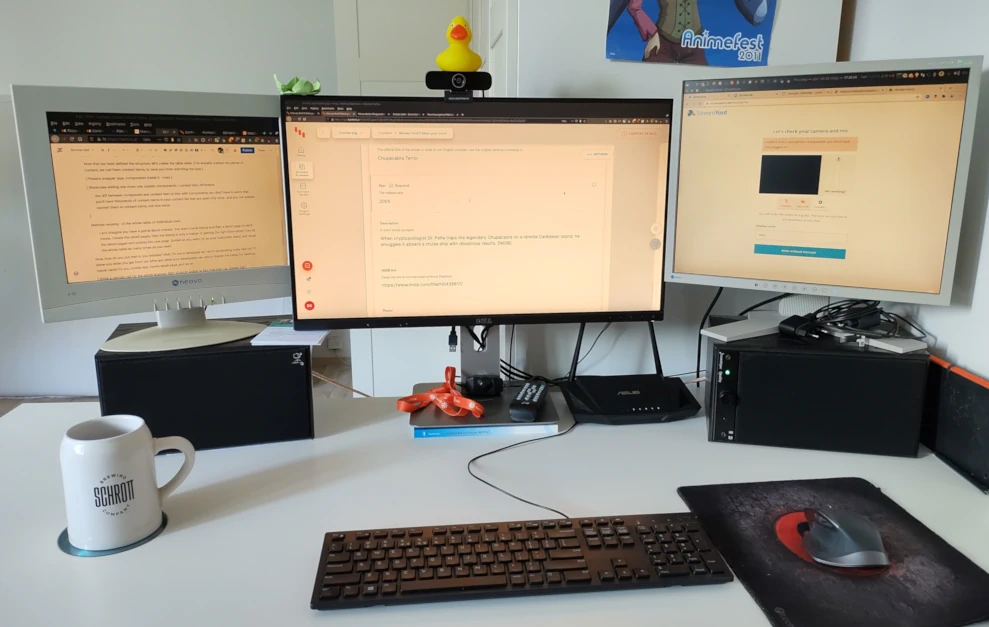 Physical multi-monitor setup